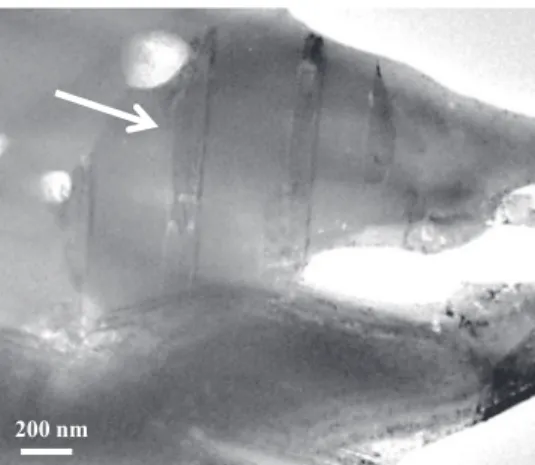 Fig. 1. TEM bright-ﬁeld image of the transversal section of the Cu cylinder (8 mm in diameter) prepared by SPS showing a micrometric grain containing twins (arrowed).