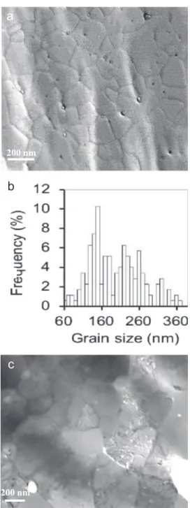 Fig. 3. (a) TEM bright-ﬁeld image of the longitudinal section of wire W8 (0.506 mm in diameter); (b) higher magniﬁcation image; dislocation substructures within a Cu grain are arrowed.