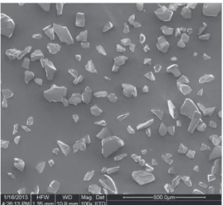 Fig. 1. Scanning electron microscopy picture corresponding to the SiC powder sample.