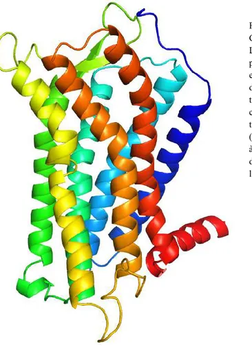 Figure  1 :  Structure  et  régions  importantes  d’un  GPCR. 
