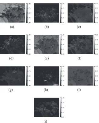 Fig. 8. Spatial distribution of the variability with respect to the endmembers presenting the most signiﬁcant level of variability