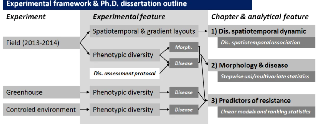 Figure 1. Flowchart of the experimental framework and Ph.D. dissertation outline. 