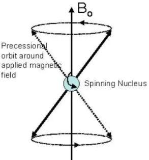 Figure 22: Mouvement de précession d'un proton autour de l'axe B0 selon une  fréquence donnée [37]
