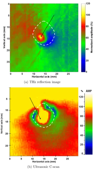 Fig. 3. Sample S1 recto.