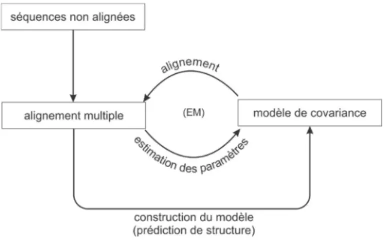 Figure 19. Le modèle de covariance 