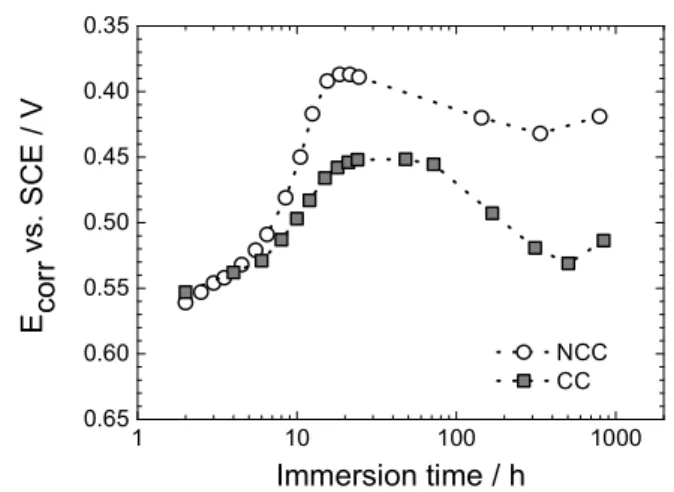 Fig. 4. Immersion time dependence of the amount of chromium released from a 24 cm 2 CC sample in contact with a 0.5 M NaCl solution.