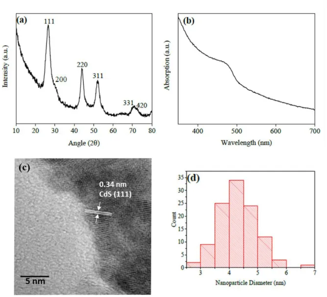 Figure S1 (a) X-ray diffraction pattern; (b) UV-visible absorption spectrum; (c) TEM image;  (d) nanoparticle diameter size distribution of synthesised CdS nanoparticles