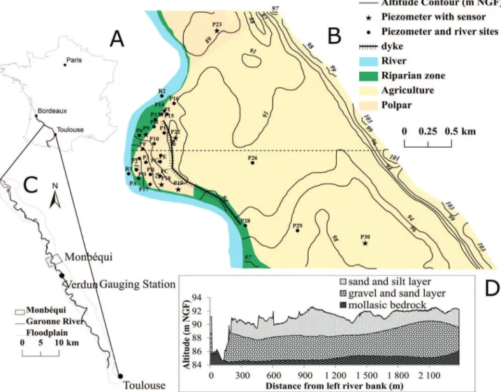 Figure 2. The Garonne River and the Monbéqui study site. ‘A’ represents the location of the Garonne River, ‘B’ represents the location of the alluvial plain and Monbéqui, ‘C’ represents the piezometers in Monbéqui and ‘D’ represents the cross-section proﬁl