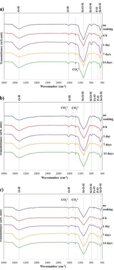 Fig. 12. FTIR spectra of 3DOM-BG/Fe samples before and after soaking in SBF for 6 h– 14 days; samples (a) 70S/10Fe, (b) 60S/20Fe and (c) 50S/30Fe.