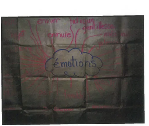Figure 9 - Signification du mot émotion au 3 cycle du primaire