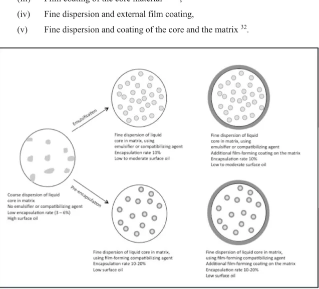 Figure 2. Schematic view of possible encapsulation morphologies obtained using extrusion  microencapsulation