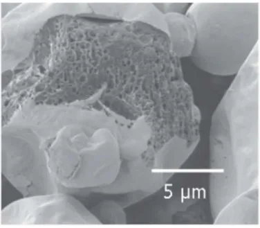 Figure 3. Spray dried particles with “dry emulsion” morphology (courtesy of Givaudan Schweiz AG)