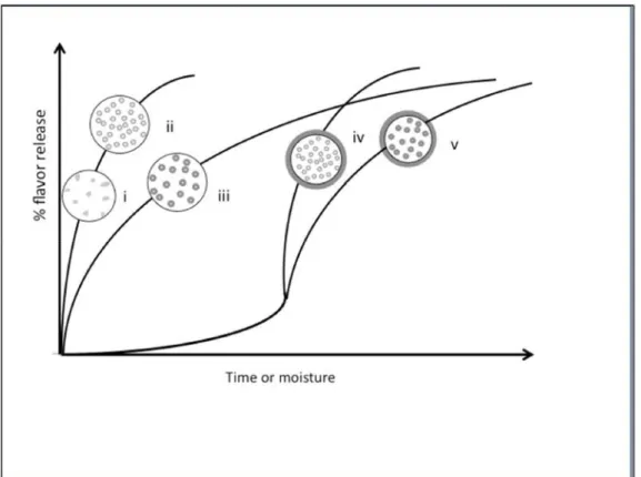Figure 4. Scheme of release profile depending on the morphology of the delivery system obtained by  extrusion