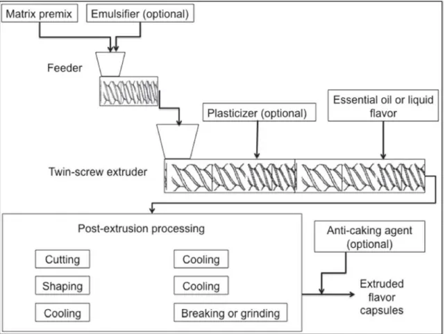 Figure 6. Scheme of flavor encapsulation by melt extrusion using a Twin-screw extruder adapted from  Ubbink and Schoonman  16 