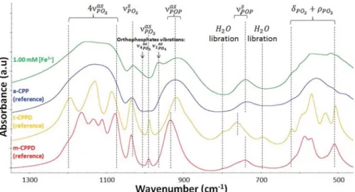 Figure 5. FTIR spectra of reference m-CPPD, t-CPPD, and a-CPP phases and of the sample synthesized in the presence of 1 mM Fe 3+ present initially in the calcium reagent solution, denoted (rs) in the main text