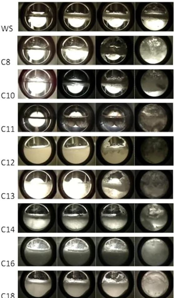 Fig. 4. Snapshots of the systems without surfactant (WS) or with 10.4 mol.m 3 of SC x S (with x 8 to 18) at T targ 275 K