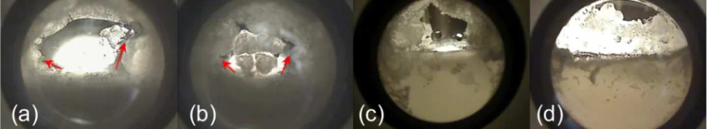 Fig. 6. Snapshots of hydrate formation for the systems containing a 10.4 mol m 3 SC 12 S solution and different gas phases, at T targ 275 K