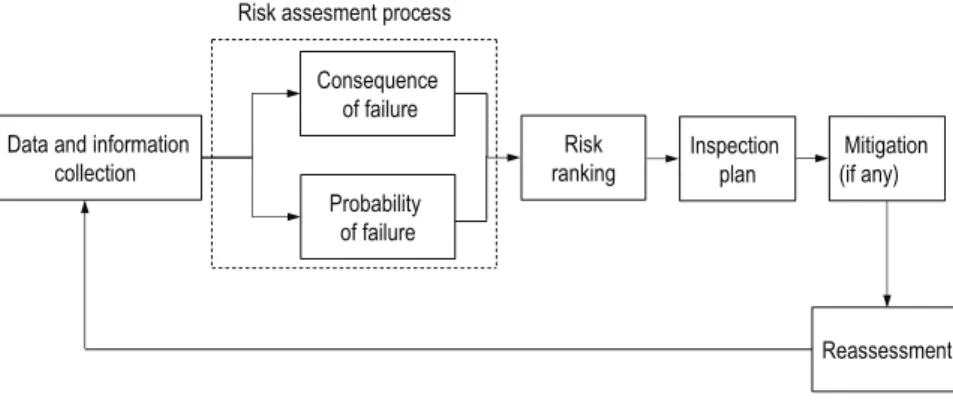 Fig. 2. The risk based inspection organization process [39].