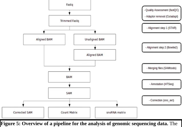 Figure 5: Overview of a pipeline for the analysis of genomic sequencing data. The  data is treated to verify its quality and remove unwanted components (low quality reads  and adaptors)
