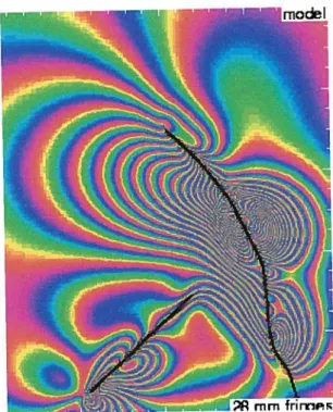 Figure 8: Modeled interferogram with black unes denoting known fault unes and coloured fringes related to changes in surface elevat ion