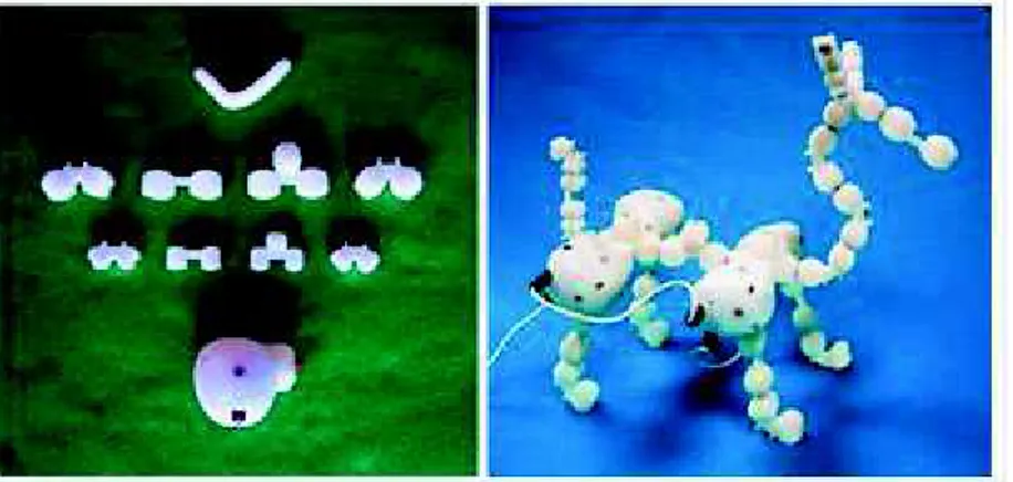 Figure 2. Le système Topobo (à gauche) et une création d’animal (à droite) (Photos provenant de (Raffle  et al., 2004)) 