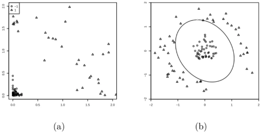 Figure 3. Toy example - Non linear case (a) Feature space and (b) Separating function.
