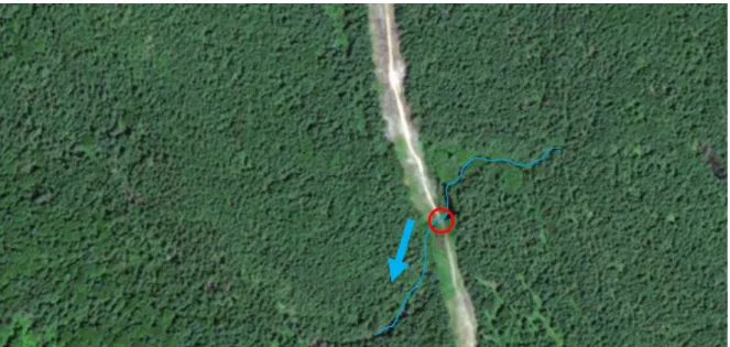 Figure 5 : Section du cours d'eau à l'étude (Source: Google Earth 2018)