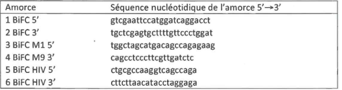 Tableau 2.2.  Amorces  nucléotidiques  employées  pour  le  développement  des  clones 