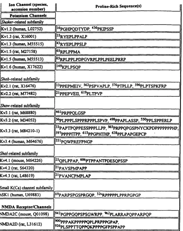 Tableau  l:Tableau résumé des canaux  K  +  possèdant,  dans  la région  N-terminale,  une ou plusieurs séquences  riches en résidus proline (Holmes et coll.,  1996)