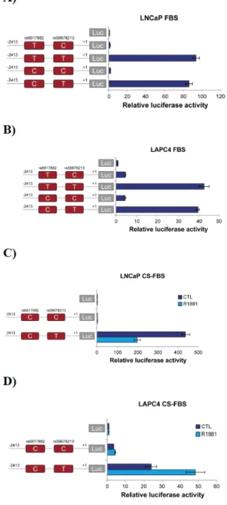 Figure  1.  Effect  of  regulatory  SNPs  on  luciferase  reporter  assay  of  UGT2B17  promoter  activity  in  prostate  cancer  cell  lines  (LNCaP  and  LAPC4)