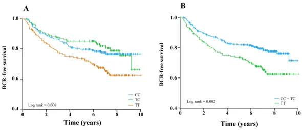 Figure  2.  Kaplan–Meier  curves  for  the  additive  (A  and  recessive  B)  models  for  the  UGT2B17 rs59678213 polymorphism