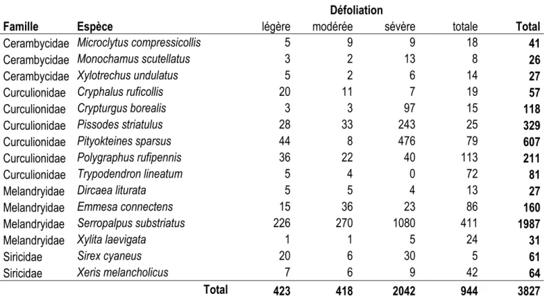 Tableau 1.1 Abondance totale des insectes secondaires dominants capturés dans les pièges à interception selon le niveau de défoliation des sapins  baumiers