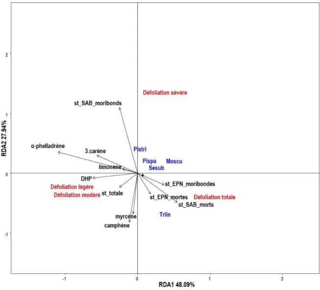 Figure 1.2  Analyse  canonique  de  redondance  (RDA)  (échelle  =2)  sur  les  assemblages  d’insectes  secondaires issus des écorçages et de l’émergence des bûches de sapins baumiers défoliés par la  tordeuse des bourgeons de l’épinette et les variables 
