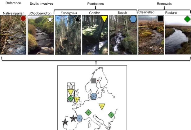 Fig. 8 Workpackage 2: The major riparian alterations investigated across Europe—note, some were unique to particular regions, others were repeated across Europe and in other instances several were studied in the same place (e.g