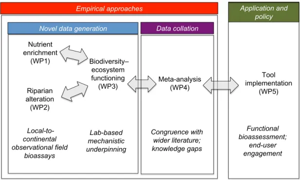 Fig. 1 A schematic highlighting the interconnections among the five original Riv- Riv-Function Workpackages, from field-based surveys and bioassays to laboratory  experi-ments, meta-analysis and tool development and implementation.