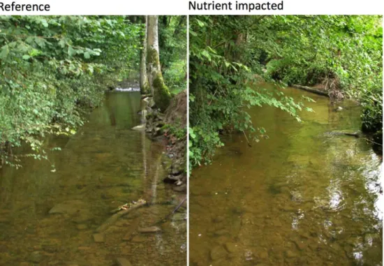 Fig. 2 Types of reference and impacted streams from Workpackage 1, designed to iso- iso-late the effects of nutrient enrichment while standardising for riparian coverage and other physicochemical properties of the system