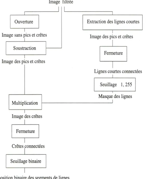 Figure 2.4 -  Méthodologie d'extraction de routes proposée par O'Brien (1988)