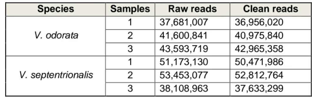 Table 2.2. Statistics of V. odorata and V. septentrionalis sequencing data 