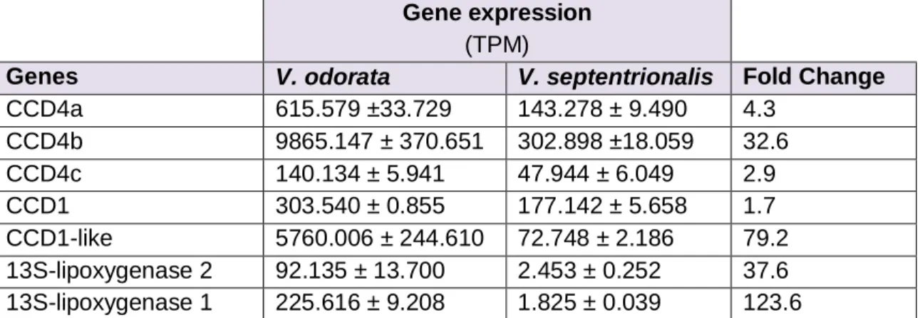 Table 2.6. Differential analysis expression of genes suspected to be involved in apocarotenoid synthesis between V