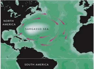 Figure 1.1 Situation géographique de la mer des  Sargasses (tiré de : Wikipédia, 2020)