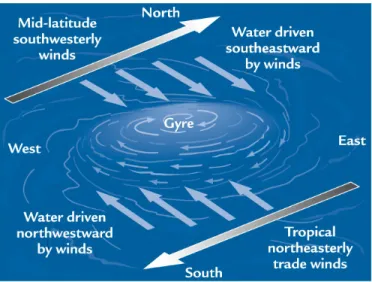 Figure 1.3 Principes de formation d’un gyre océanique  (tiré de : Sonoma State University, s