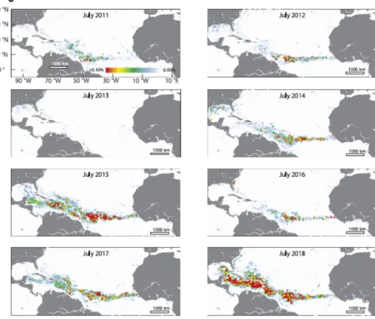 Figure 2.3 Distribution des sargasses dans l’océan Atlantique en juillet entre,  2011 et 2018