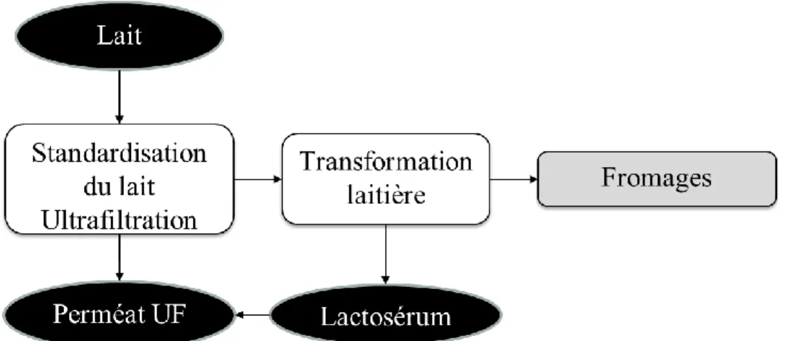 Figure 1 : Séquences de procédés générant le lactosérum et le perméat d’UF dans une unité  de fabrication fromagère 