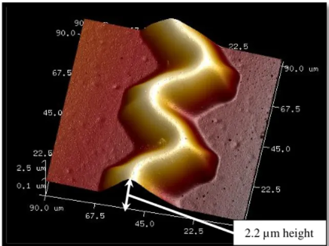Figure 8: AFM characterization of a telephone cord obtained after unloading 