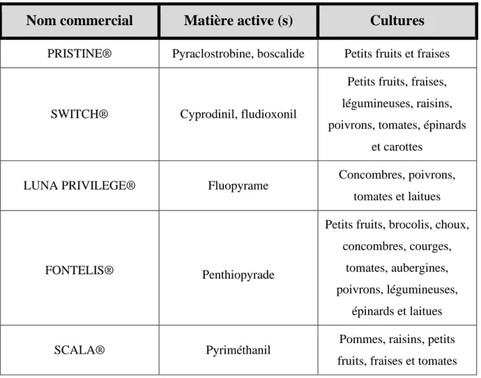 Tableau 1. Liste de quelques fongicides de synthèse homologués au Canada contre la  pourriture grise (Botrytis cinerea)