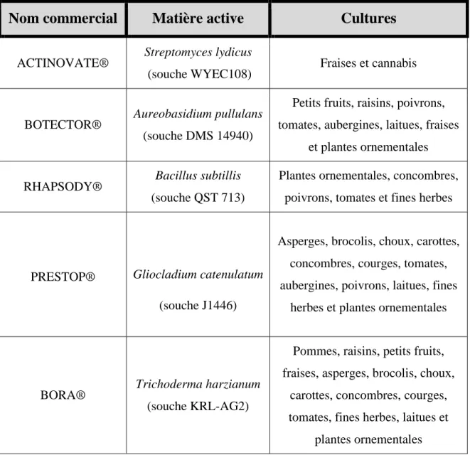 Tableau 2. Liste de quelques fongicides biologiques homologués au Canada contre la  pourriture grise (Botrytis cinerea)