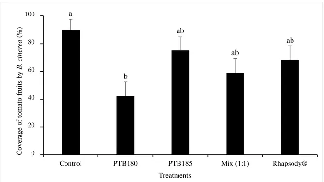 Figure  5.  Effect  of  PTB180,  PTB185,  and  mix  (1:1)  of  both  strains  on  Botrytis  cinerea  coverage  of  postharvest tomato fruits