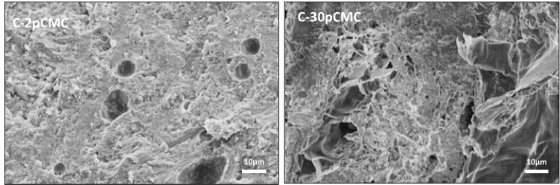 Fig. 6 SEM micrographs of dried composite cements including low (C-2pCMC) and high (C-30pCMC) amounts of CMC