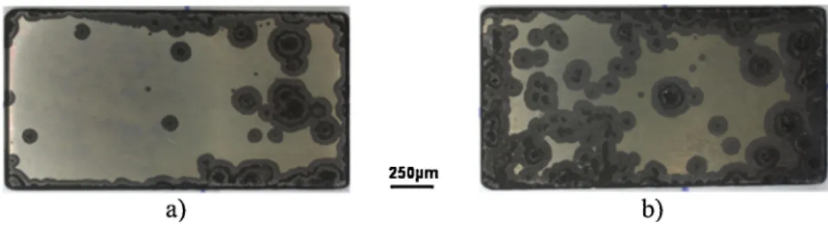 Fig. 1. Optical micrographs of (a) the external and (b) the internal face of a 800HT sample after 4000 h of exposure.