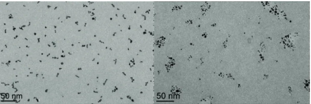Figure 1: TEM images of PdNPs synthesized in [MMPIM][NTf 2 ]: left, system 1 (in the presence of PVP); right :  system 2 (in the absence of PVP) 